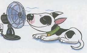 dog_and_fan